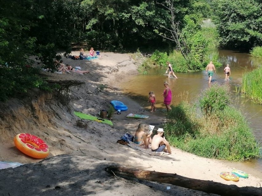 Piaskowa Góra nad Grabią - dzikie kąpielisko, ale popularne ZDJĘCIA