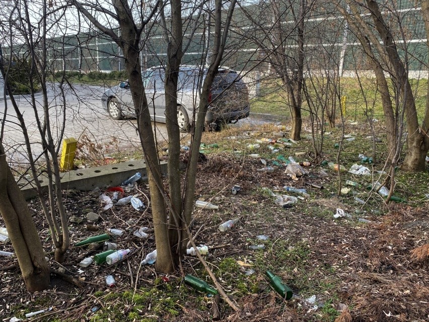 Koszmarny bałagan na działce w centrum Kielc, blisko przystanku autobusowego i Galerii Echo 