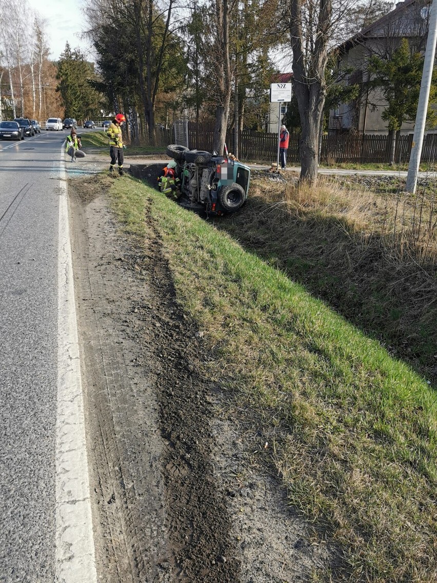 Przez chwilę na drodze wojewódzkiej kierowców czekały...