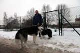 Kraków: powstaną kolejne wybiegi dla psów?