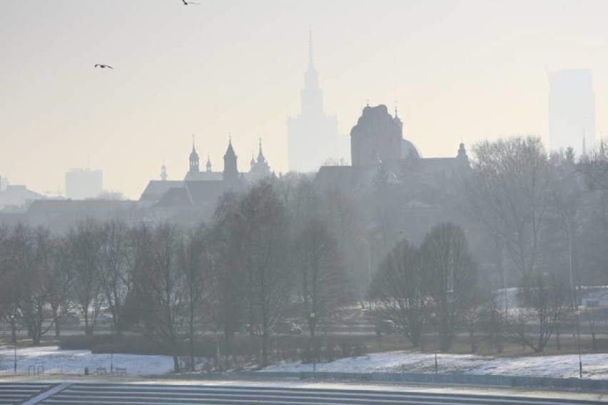 Smog w Warszawie. Czy ruch drogowy to największy truciciel?