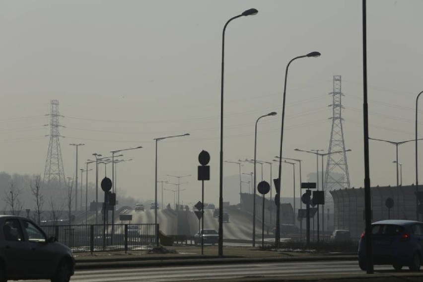 Smog w Warszawie. Czy ruch drogowy to największy truciciel?