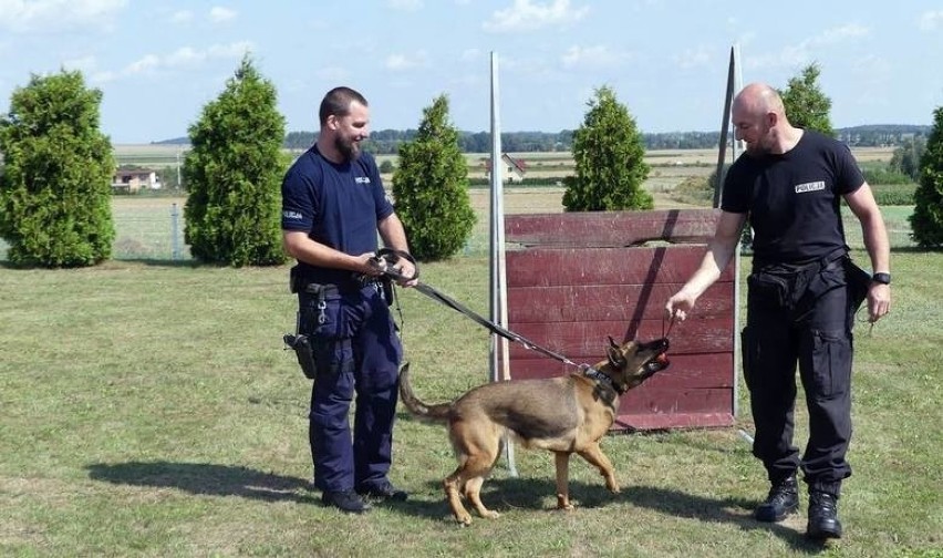 Policyjne psy z opolskiego garnizonu.