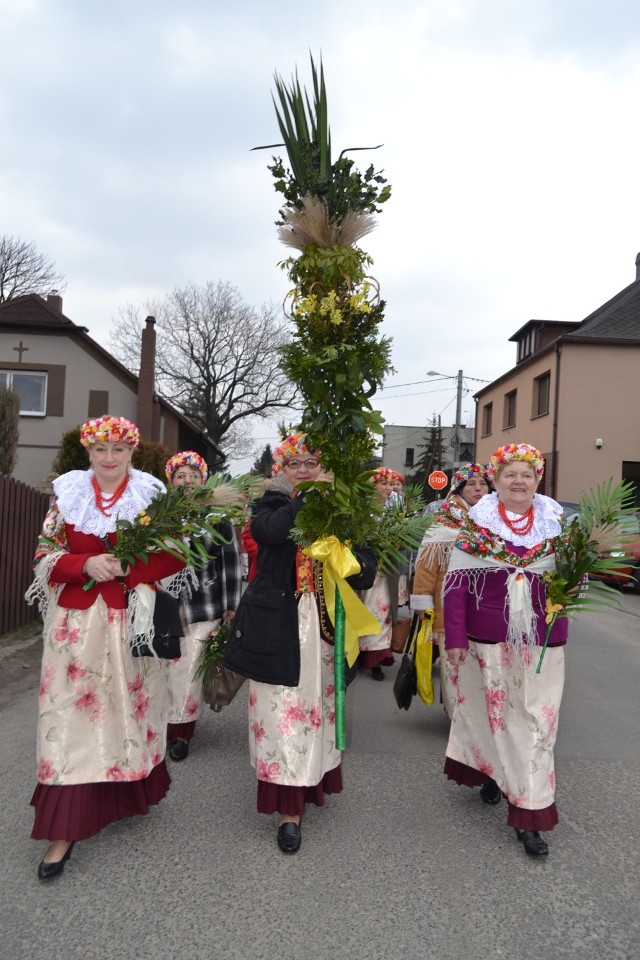 Zobacz piękne palmy przygotowane przez mieszkańców Gorzyc