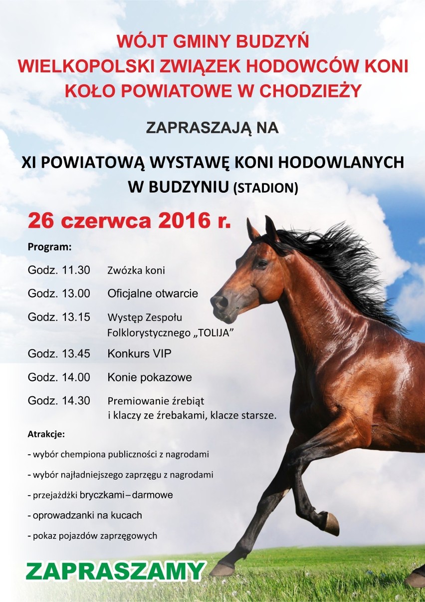 Wystawa koni w Budzyniu: Pokazy, konkursy i inne atrakcje...