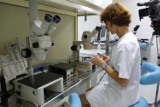Program in vitro w Słupsku będzie kontynuowany przez pięć lat