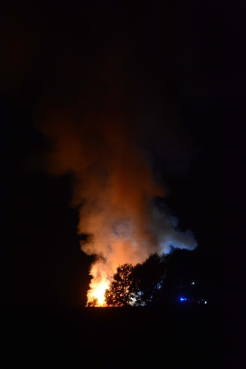 Pożar stogu w Dąbrówce Królewskiej pod Grudziądzem [wideo, zdjęcia]