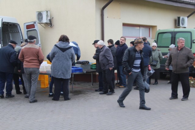 Jarmark w m. Krzywosądz w gminie Dobre zwyczajowo przyciąga handlowców producentów, oraz licznych nabywców.