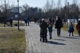 Wiosenna pogoda przyciągnęła tłumy spacerujących na tereny pruszczańskiej Faktorii. Zobacz zdjęcia!