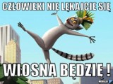 Wiosenne MEMY. Zobacz śmieszne obrazki o wiośnie 