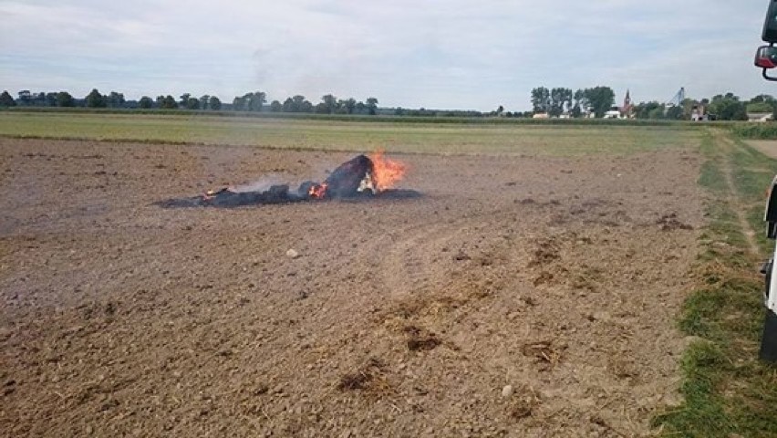 Kolejny pożar na polu tym razem w Paniwoli [ZDJĘCIA]