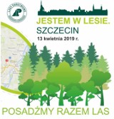 Sadzenie lasu w trzech puszczach sąsiadujących ze Szczecinem