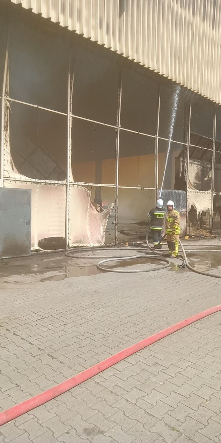 Straże pożarne z całej okolicy gaszą potężny pożar zakładu w Ciszewie koło Chodzieży
