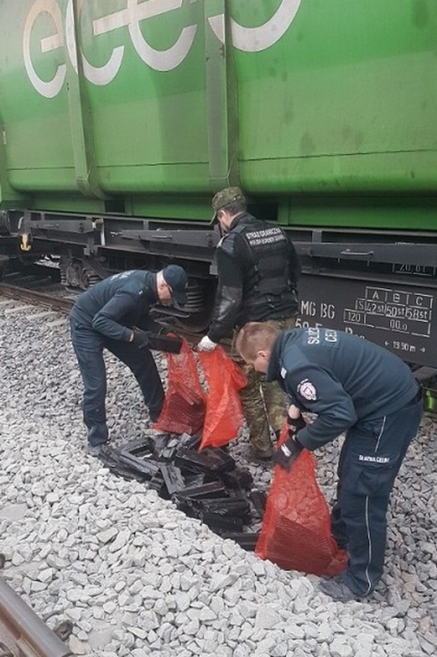Terespol: udaremniono przemyt papierosów schowanych pod wagonami pociągu towarowego