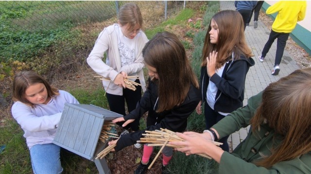 Projekt ma na celu uświadomienie potrzeb w zakresie dbania o środowisko naturalne, opiekę nad pożytecznymi owadami konstruując odpowiednie siedliska, dzięki którym pszczoły i inne owady będą mogły działać dla dobra nas wszystkich.