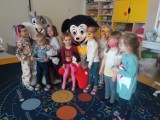 Językowa Akademia Przedszkolaka z Kielc świętowała Dzień Postaci z Bajek. Dzieci odwiedziła Myszka Miki i Królik Bugs. Zobacz zdjęcia