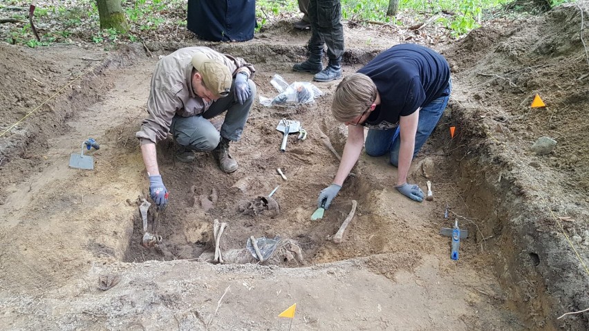 W Gródku znaleziono szczątki trzech polskich żołnierzy,...