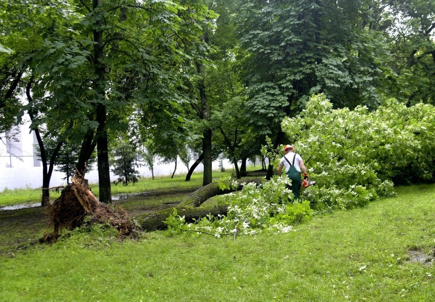 Park na Plantach w Radomiu ucierpiał w czasie ulewy. Zobacz jak teraz wygląda