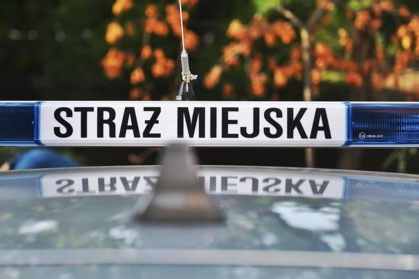 Straż miejska w Poznaniu odholuje samochody, które będą...