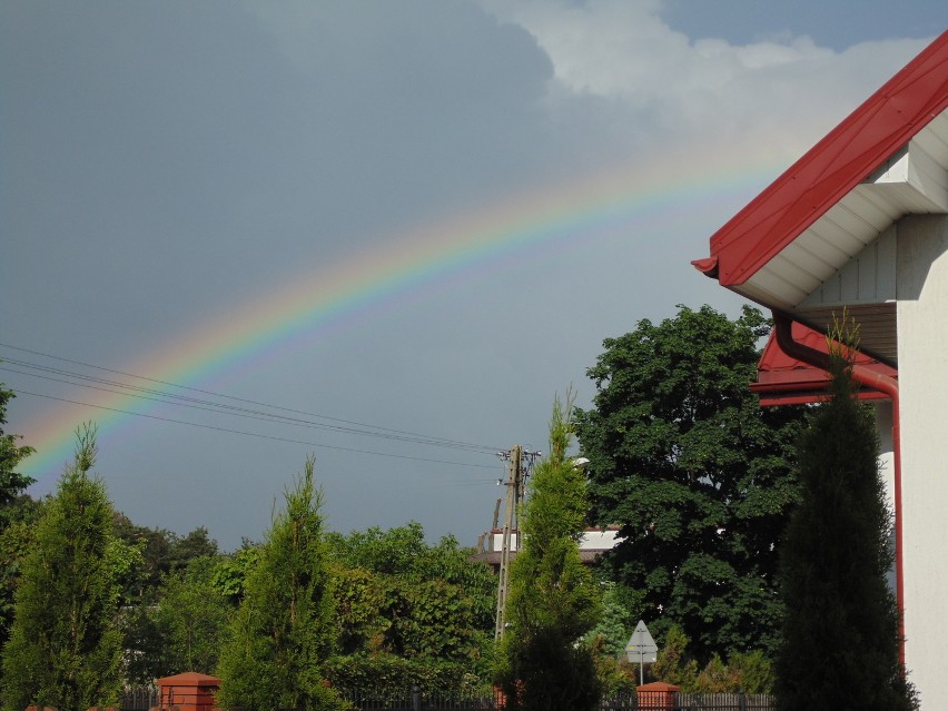 To zdjęcia zrobione w Chodlu. W ciągu trzech godzin na...