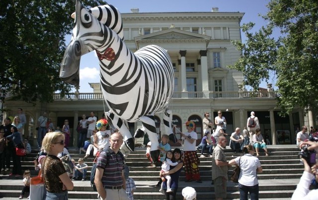 Bohaterowie filmu Madagaskar 3 na poznańskich ulicach.