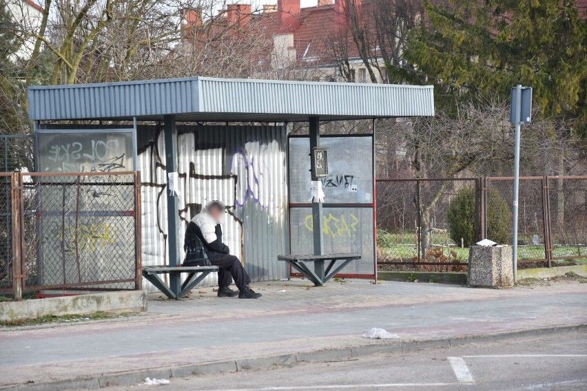 Malbork. Przystanki autobusowe znikną z ul. Wybickiego? Było wiele skarg, że okupują je bezdomni. Wiaty są zbędne, bo nie jeździ "dwójka"