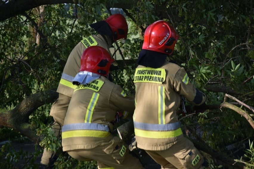 Zostań zawodowym strażakiem! Komenda Powiatowa Państwowej Straży Pożarnej w Śremie ogłosiła nabór. Jakie warunki muszą spełnić kandydaci?