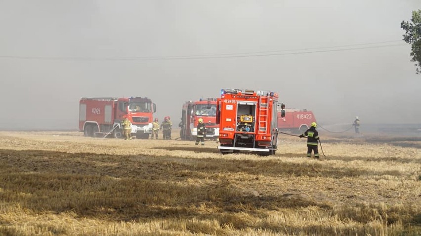 Pożar pola między Siedliskiem i Runowem