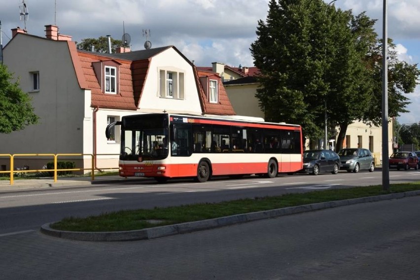 Wakacyjny autobus 607 z Pruszcza do Sobieszewa będzie je