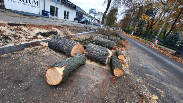 Drzewa są wycinane na odcinku pomiędzy skrzyżowaniem Kosynierów Gdyńskich z Roosevelta a skrzyżowaniem z ul. Jagiellończyka.