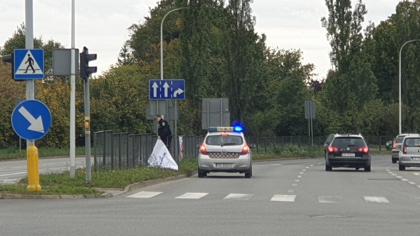 Straż Miejska w Opolu usuwa nielegalne banery wyborcze