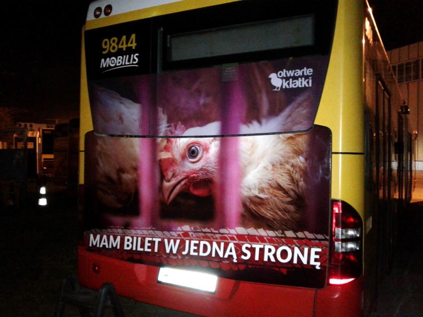 Warszawa. Autobusy z wyjątkowymi zdjęciami. Chodzi o problem transportu żywych zwierząt