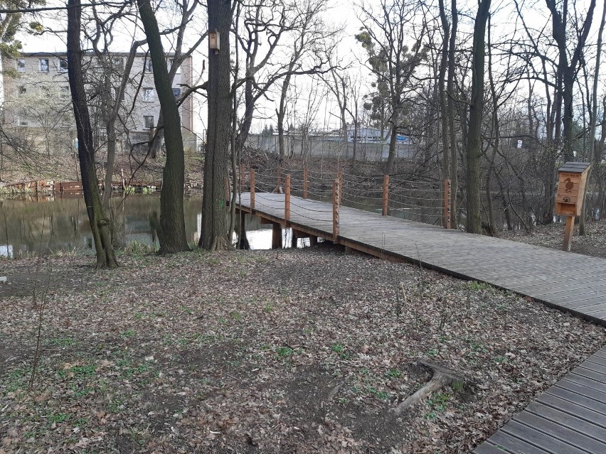 Wrocław. Będą nowe atrakcje w parku "Czarna Woda" na Swojczycach. Oto szczegóły