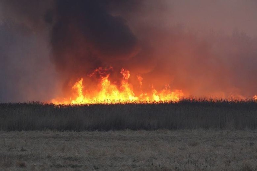 Kartuscy strażacy pomogą w gaszeniu pożaru w Biebrzańskim Parku Narodowym