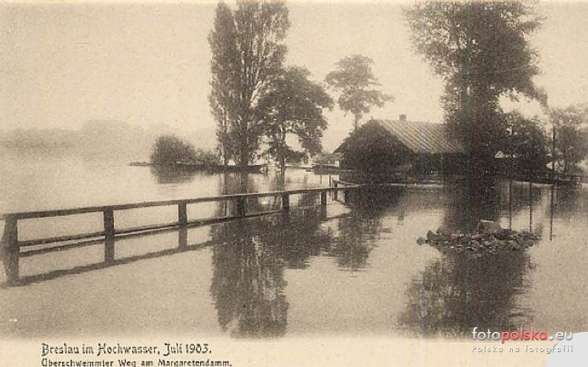 Zobacz zdjęcia z wielkiej powodzi we Wrocławiu w 1903 roku! 