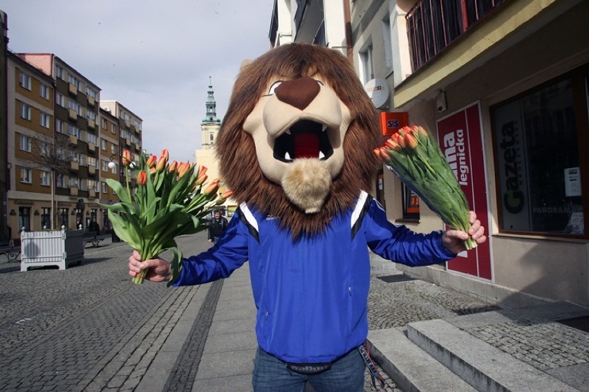 Miedziany Lew rozdawał tulipany paniom z okazji Dnia Kobiet...