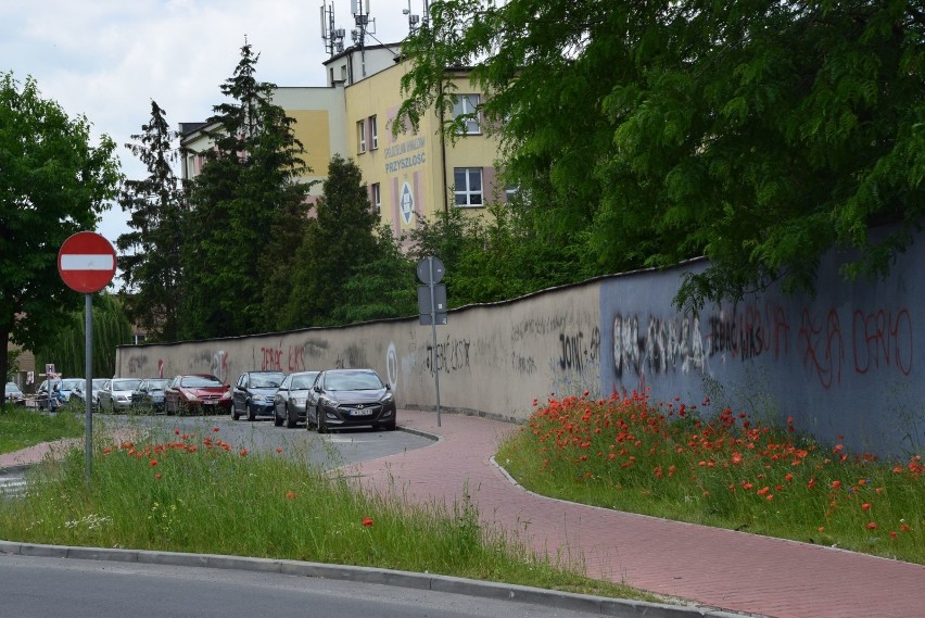 Mur klasztorny w Wieluniu wciąż szpeci. Co z wykonaniem kolejnego muralu? ZDJĘCIA