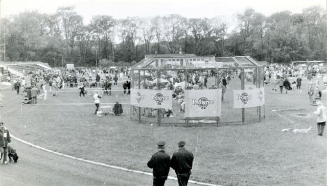 Tak wyglądał Stadion Miejski przy ul. Wierzbińskiego. Wtedy można było organizować tam wystawy psów rasowych. Kilka lat temu obiekt został zmodernizowany, a wystawy przeniesiono na stadion przy ul. Orłowskiej