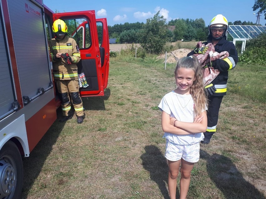 Gmina Gniezno. Strażacy ze Strzyżewa Smykowego pomogli rannemu bocianowi [FOTO]