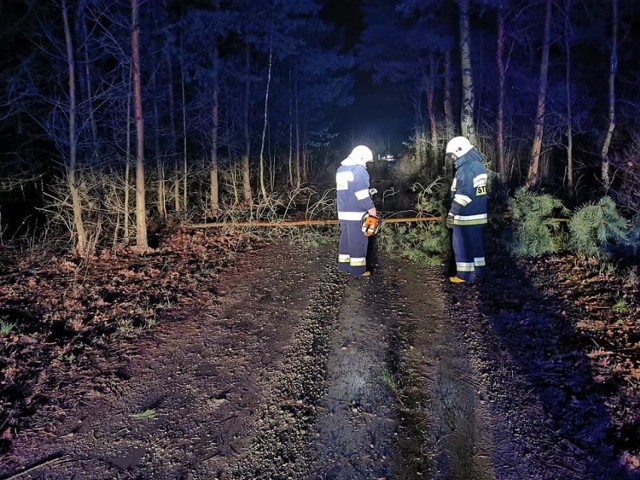 Spośród niewielu zgłoszeń w głównej mierze strażacy usuwali powalone drzewa