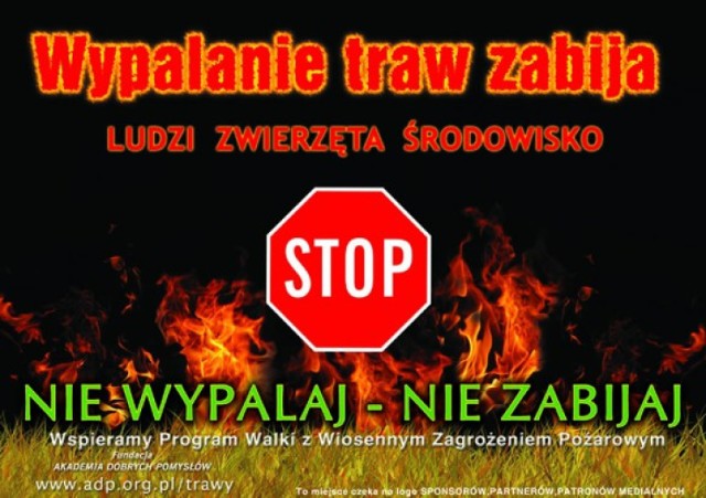 Wypalanie traw w Jastrzębiu to plaga. Uważajmy!