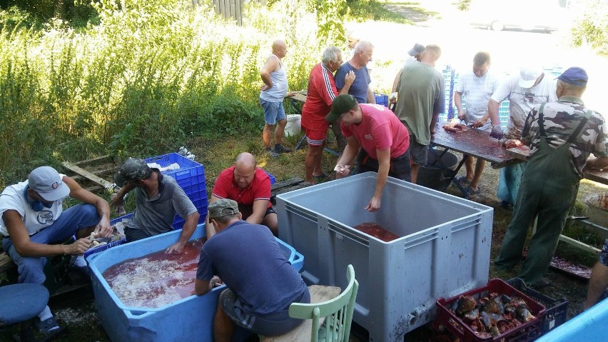 Przygotowania do Święta Karpia w Osiecznicy.