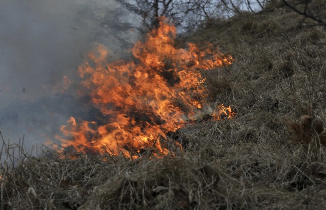 Za wypalanie suchych traw grozi do 5 tys. zł grzywny