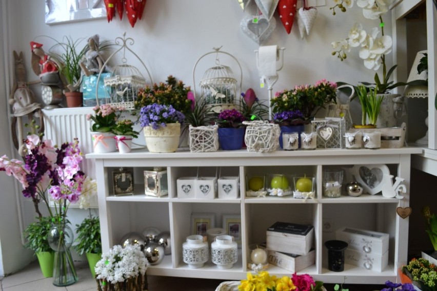 Mistrzowie Handlu 2015 - Kwiaciarnia Roku - Kwiaciarnia Krystyna w Kartuzach