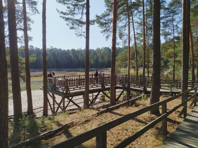 Zamość i Roztocze jesienią. Zobacz nasza galerię zdjęć