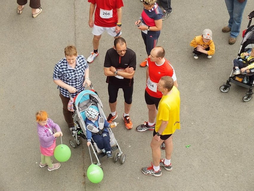 Złotów: Złotowski Bieg Zawilca 2013. Bieg główny 7 edycji Złotowskiego Biegu Zawilca 2013 [FOTO]