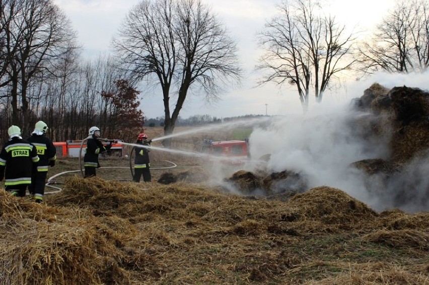 Pożar pod Fromborkiem. Na polu paliły się baloty słomy