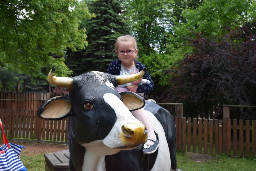 Mini ZOO w Śląskim Ogrodzie Zoologicznym: Tu lubią...