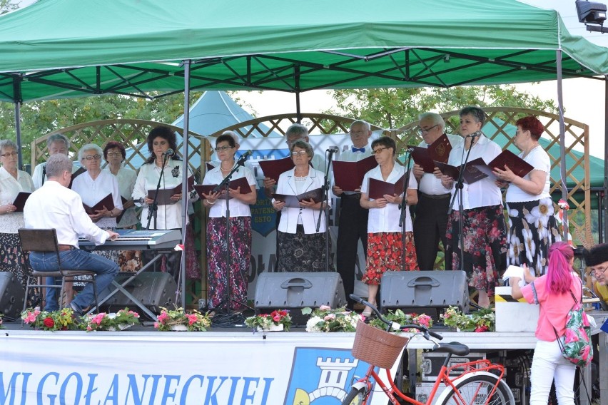 Noc Świętojańska w Gołańczy. Był pokaz tańca z ogniem i walki wojów 