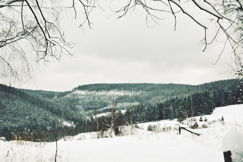 Zima w Sudetach. Zobacz zimowe zdjęcia naszego regionu! 
